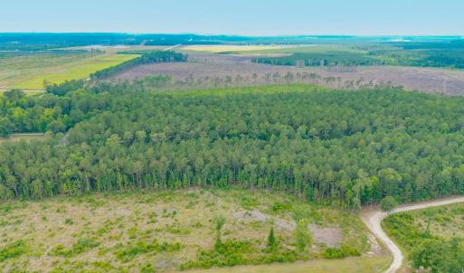 Photo #13 of 6222 Saints Delight Rd., Georgetown, SC 3.3 acres