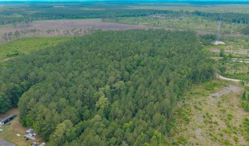 Photo #12 of 6222 Saints Delight Rd., Georgetown, SC 3.3 acres