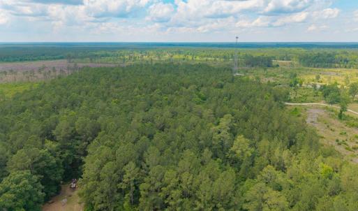 Photo #20 of 6222 Saints Delight Rd., Georgetown, SC 3.3 acres