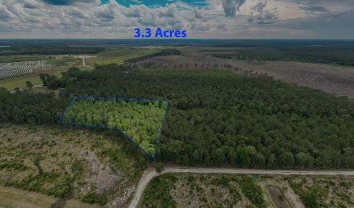 Photo #4 of 6222 Saints Delight Rd., Georgetown, SC 3.3 acres