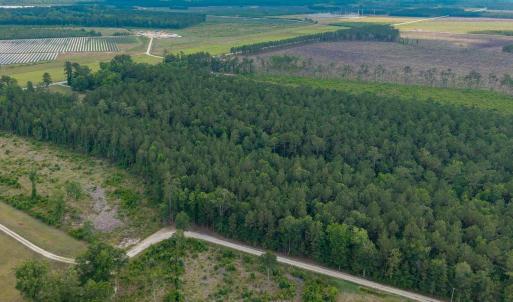 Photo #16 of 6222 Saints Delight Rd., Georgetown, SC 3.3 acres