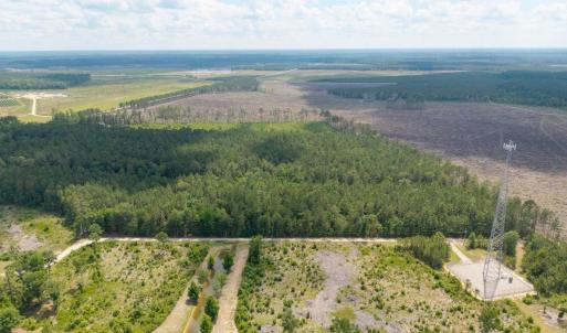 Photo #7 of 6222 Saints Delight Rd., Georgetown, SC 5.8 acres