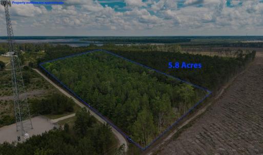Photo #5 of 6222 Saints Delight Rd., Georgetown, SC 5.8 acres
