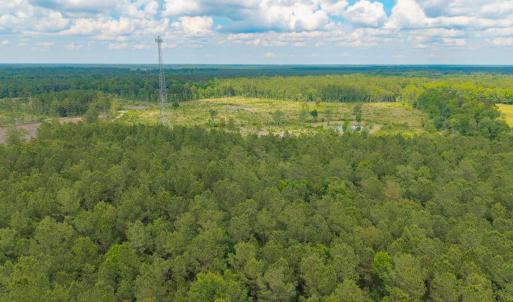 Photo #26 of 6222 Saints Delight Rd., Georgetown, SC 5.8 acres
