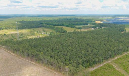 Photo #15 of 6222 Saints Delight Rd., Georgetown, SC 5.8 acres