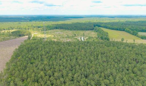 Photo #14 of 6222 Saints Delight Rd., Georgetown, SC 5.8 acres