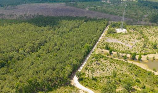 Photo #10 of 6222 Saints Delight Rd., Georgetown, SC 5.8 acres