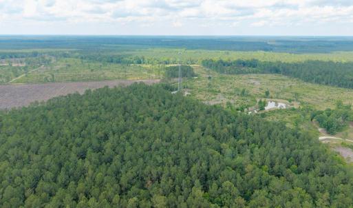 Photo #13 of 6222 Saints Delight Rd., Georgetown, SC 5.8 acres