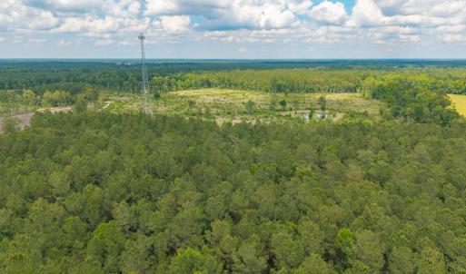 Photo #25 of 6222 Saints Delight Rd., Georgetown, SC 5.8 acres