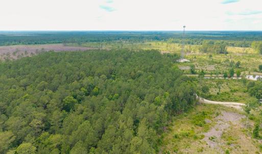 Photo #22 of 6222 Saints Delight Rd., Georgetown, SC 5.8 acres