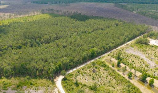 Photo #9 of 6222 Saints Delight Rd., Georgetown, SC 5.8 acres