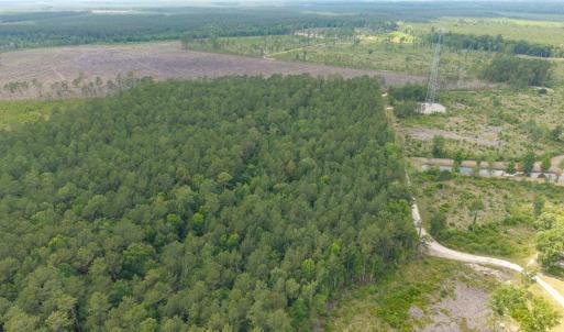 Photo #11 of 6222 Saints Delight Rd., Georgetown, SC 5.8 acres