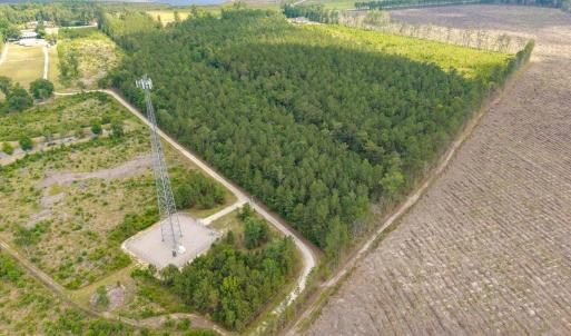 Photo #18 of 6222 Saints Delight Rd., Georgetown, SC 5.8 acres