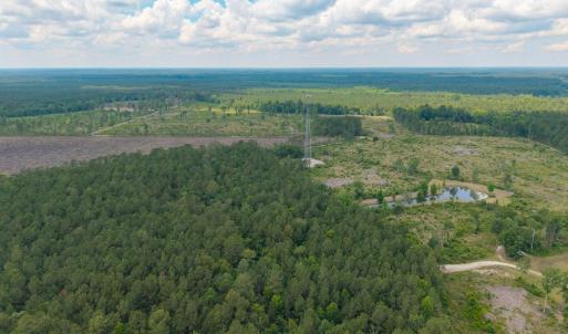Photo #12 of 6222 Saints Delight Rd., Georgetown, SC 5.8 acres