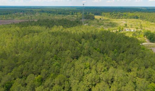 Photo #23 of 6222 Saints Delight Rd., Georgetown, SC 5.8 acres