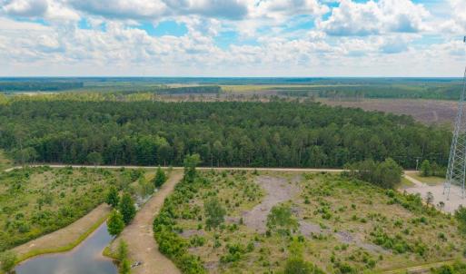 Photo #20 of 6222 Saints Delight Rd., Georgetown, SC 5.8 acres