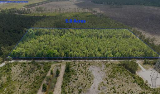 Photo #3 of 6222 Saints Delight Rd., Georgetown, SC 5.8 acres