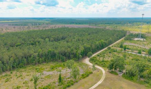 Photo #21 of 6222 Saints Delight Rd., Georgetown, SC 5.8 acres