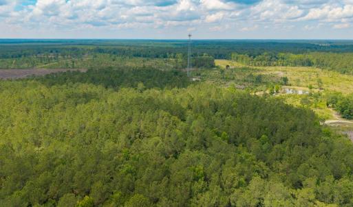Photo #24 of 6222 Saints Delight Rd., Georgetown, SC 5.8 acres