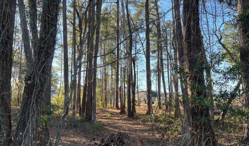 Photo #10 of 1000 Maccoa Dr., Conway, SC 0.4 acres