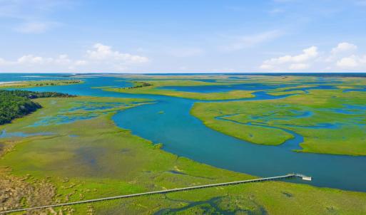Photo #13 of Lot 4 Josie Way, Georgetown, SC 0.6 acres