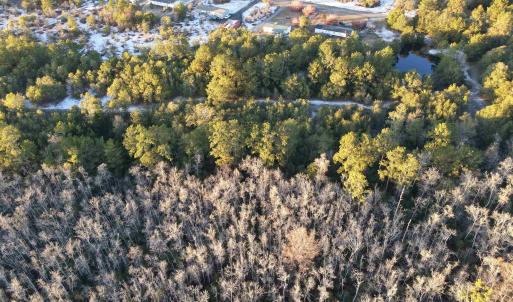 Photo #17 of TBD4 Francis Marion Dr., Georgetown, SC 12.0 acres