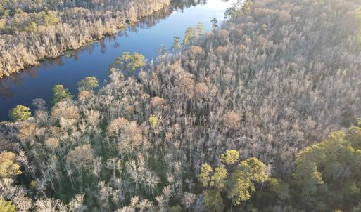 Photo #5 of TBD4 Francis Marion Dr., Georgetown, SC 12.0 acres