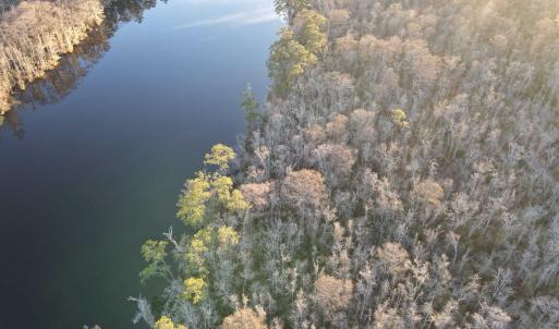 Photo #18 of TBD4 Francis Marion Dr., Georgetown, SC 12.0 acres