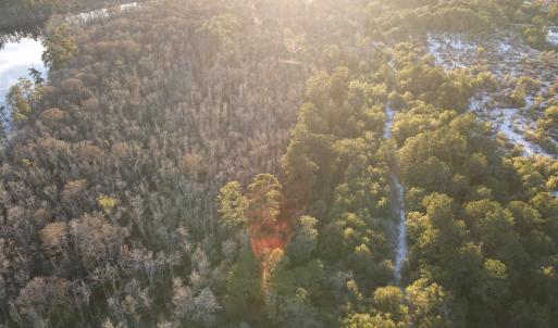 Photo #8 of TBD7 Francis Marion Dr., Georgetown, SC 11.0 acres