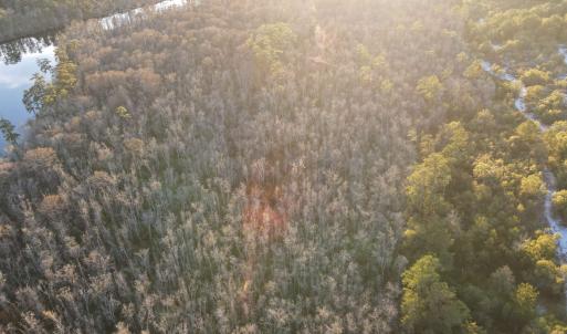 Photo #13 of TBD8 Francis Marion Dr., Georgetown, SC 10.0 acres
