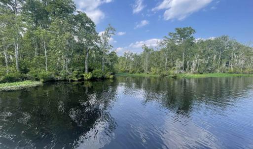 Photo #7 of TBD8 Francis Marion Dr., Georgetown, SC 10.0 acres
