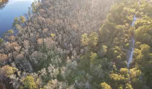 Photo #9 of TBD8 Francis Marion Dr., Georgetown, SC 10.0 acres