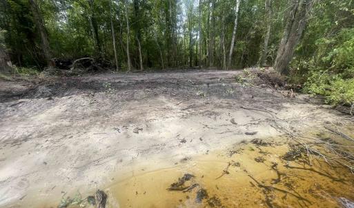 Photo #15 of TBD8 Francis Marion Dr., Georgetown, SC 10.0 acres