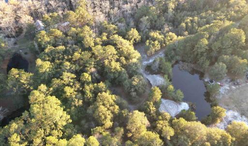 Photo #12 of TBD8 Francis Marion Dr., Georgetown, SC 10.0 acres