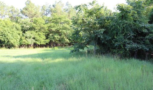Photo #14 of 2631 Charlie Johnson Rd, Bethune, SC 12.0 acres