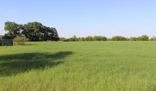 Photo #12 of 2631 Charlie Johnson Rd, Bethune, SC 12.0 acres