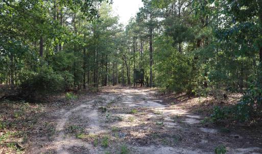 Photo #19 of 2631 Charlie Johnson Rd, Bethune, SC 12.0 acres