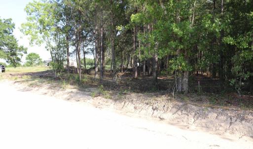 Photo #18 of 2631 Charlie Johnson Rd, Bethune, SC 12.0 acres
