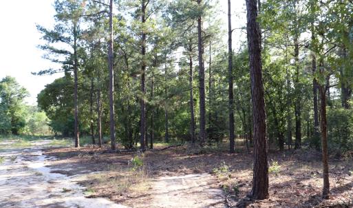 Photo #25 of 2631 Charlie Johnson Rd, Bethune, SC 12.0 acres