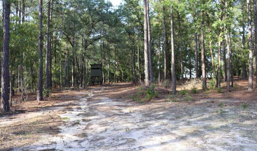 Photo #28 of 2631 Charlie Johnson Rd, Bethune, SC 12.0 acres