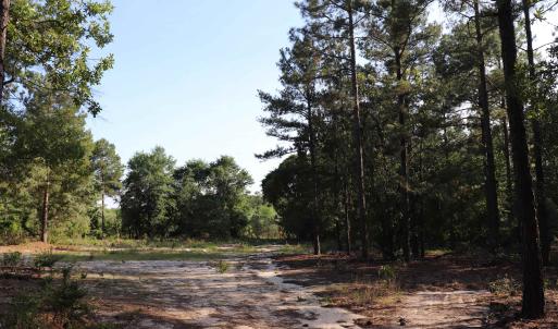 Photo #23 of 2631 Charlie Johnson Rd, Bethune, SC 12.0 acres