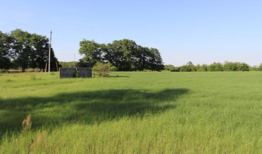 Photo #11 of 2631 Charlie Johnson Rd, Bethune, SC 12.0 acres