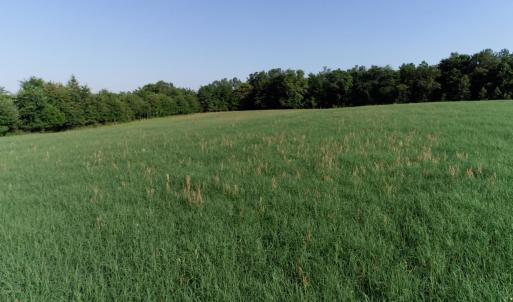 Photo #2 of 2631 Charlie Johnson Rd, Bethune, SC 12.0 acres