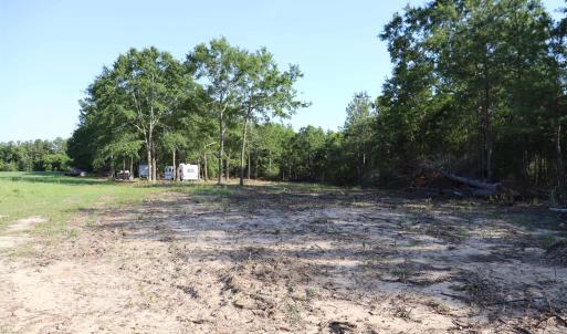 Photo #3 of 2631 Charlie Johnson Rd, Bethune, SC 12.0 acres