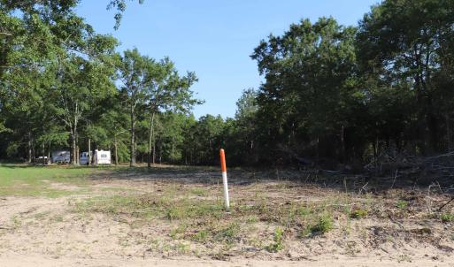 Photo #24 of 2631 Charlie Johnson Rd, Bethune, SC 12.0 acres