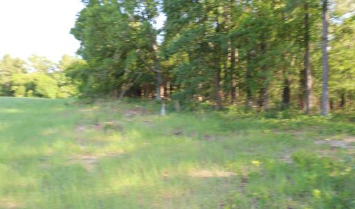Photo #13 of 2631 Charlie Johnson Rd, Bethune, SC 12.0 acres