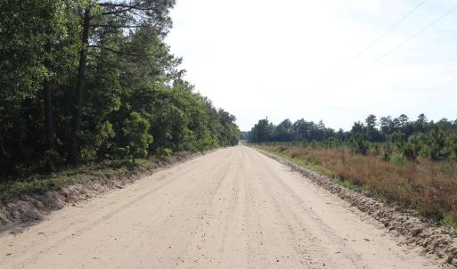 Photo #6 of 2631 Charlie Johnson Rd, Bethune, SC 12.0 acres