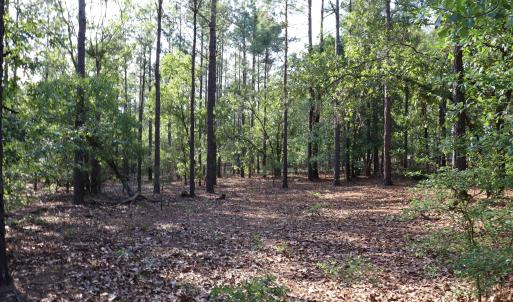 Photo #21 of 2631 Charlie Johnson Rd, Bethune, SC 12.0 acres