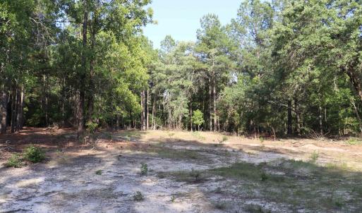 Photo #27 of 2631 Charlie Johnson Rd, Bethune, SC 12.0 acres