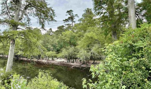 Photo #11 of 11 Gulley Ln., Salters, SC 1.0 acres